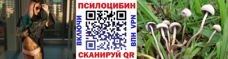 закладка  Иноземцево  Псилоцибиновые грибы Magic Shrooms 